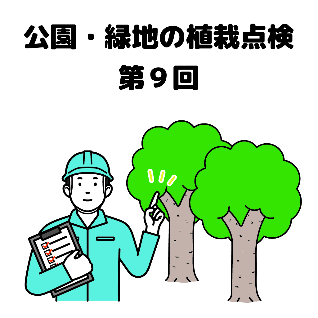 街の樹木NewsLetter Vol.21　7月号　公園・樹木の植栽点検シリーズ第９回－樹⽊の安全点検−倒⽊や落枝の危険を発⾒しよう！ その６−実践